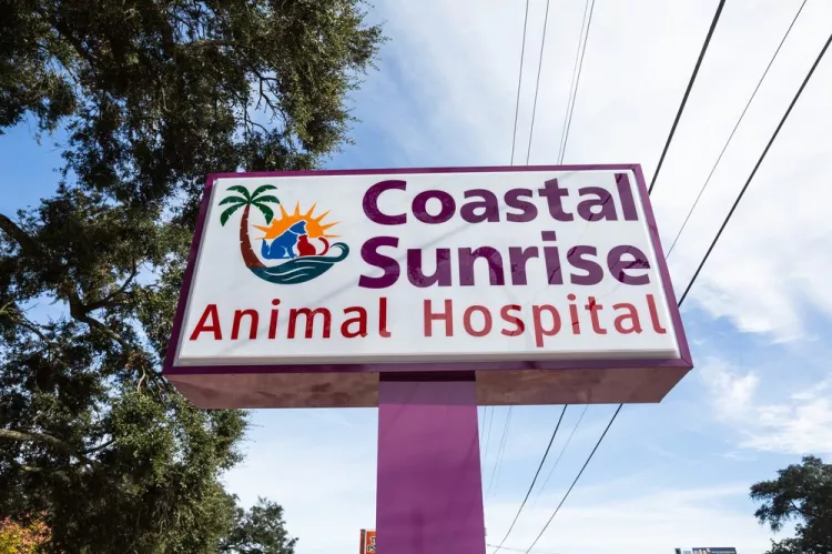 Coastal Sunrise Animal Hospital, Alabama, Pensacola
